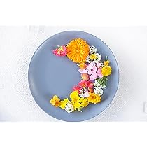 Amazon.co.jp: 【ビタミンカラー】明るいビタミンカラーミックス 40輪